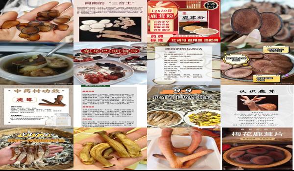 鹿茸能治不孕不育吗 - 汕头鹿茸可以治不孕不育吗